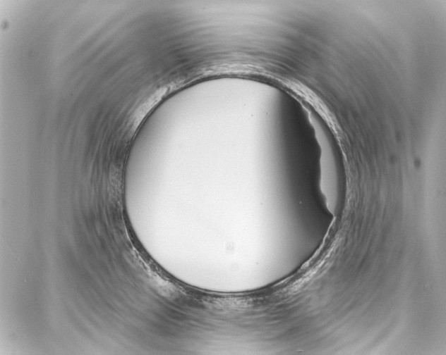 X0000086881337200705141401