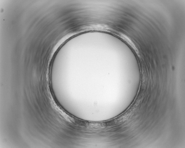 X0000086881339200705141401