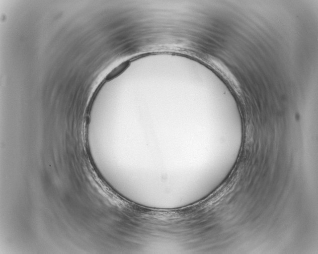 X0000086881340200705141401