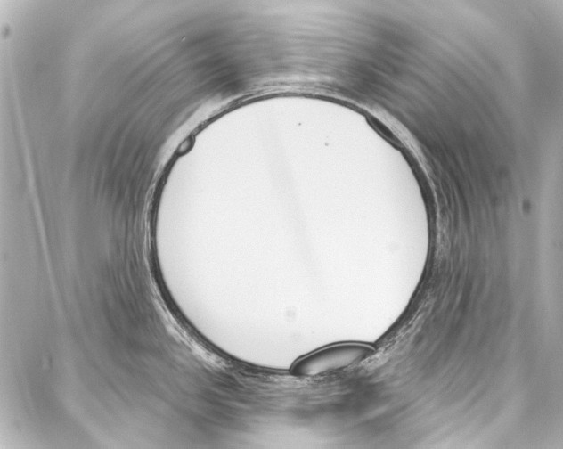 X0000086881341200705141401