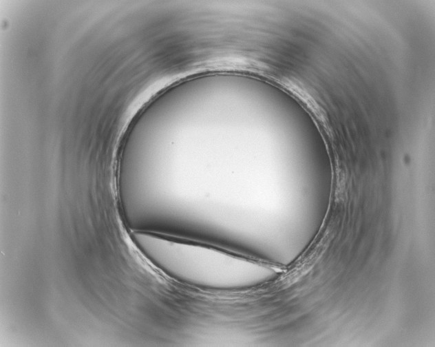 X0000086881342200705141401