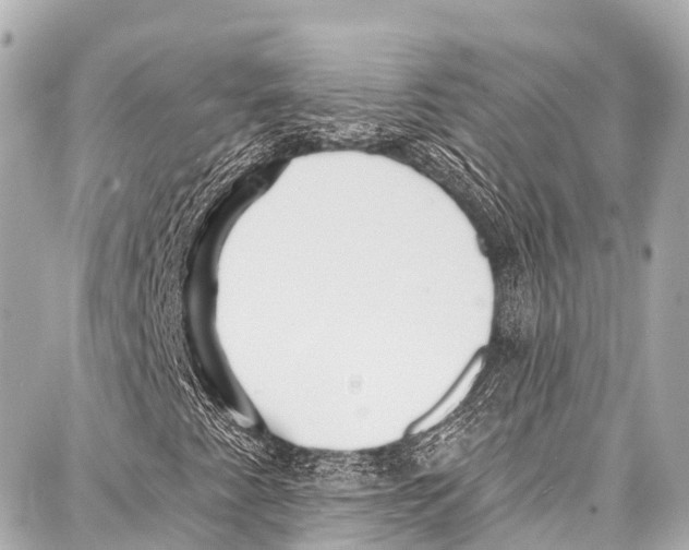 X0000086881345200705141400