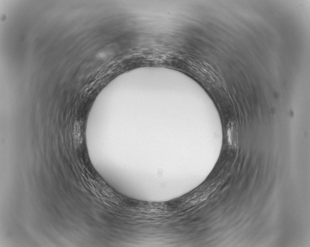 X0000086881347200705141400