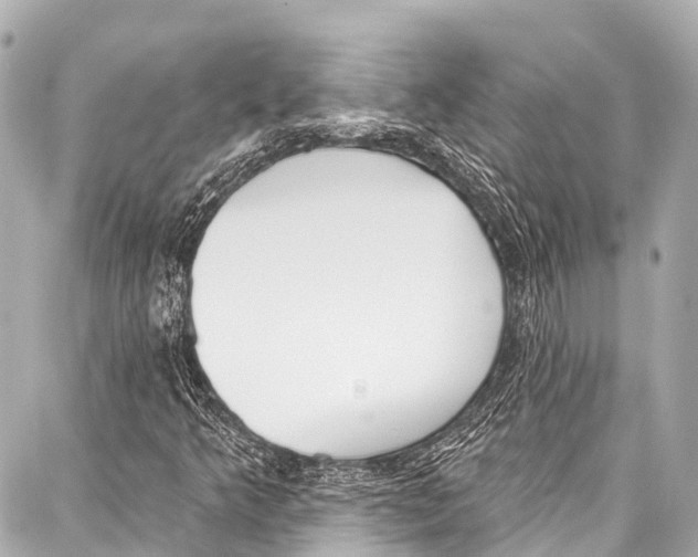 X0000086881349200705141400