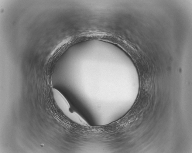 X0000086881351200705141400