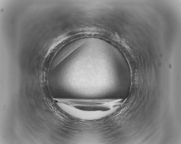 X0000086881352200705141400