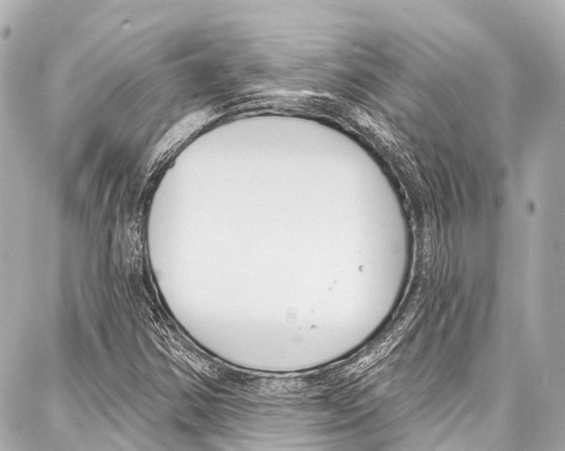 X0000086881354200705141400