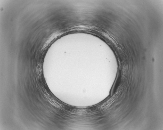 X0000086881355200705141400