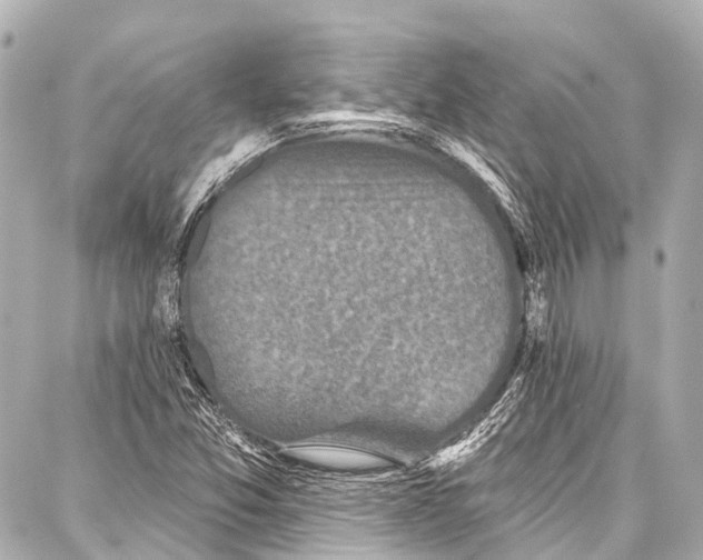 X0000086881357200705141400