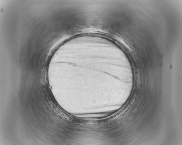 X0000086881358200705141400