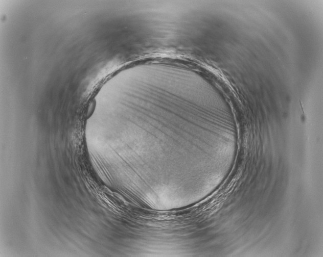 X0000086881359200705141400