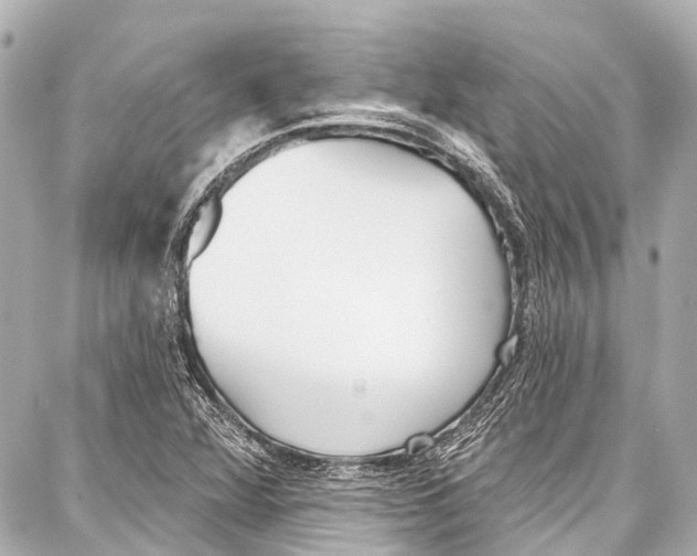 X0000086881360200705141400