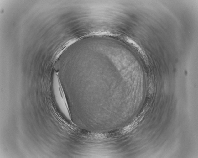 X0000086881361200705141400