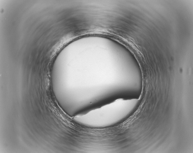 X0000086881363200705141400