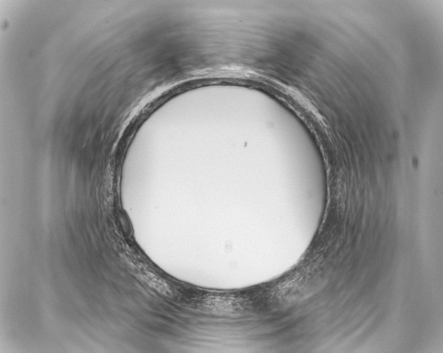 X0000086881364200705141400