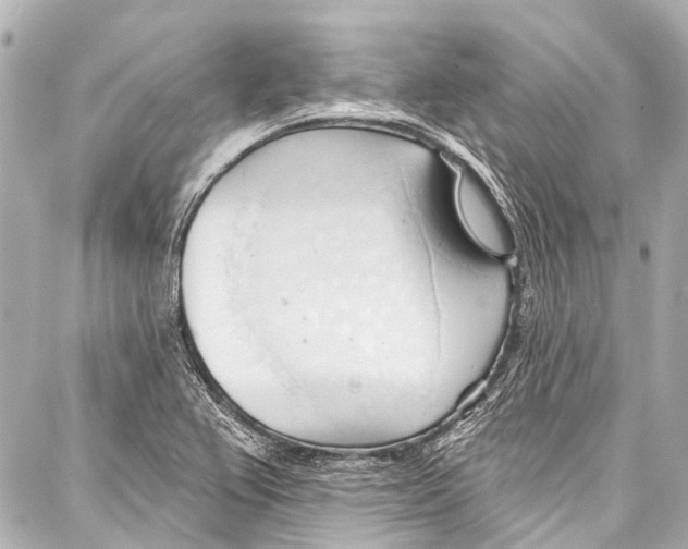 X0000086881367200705141400