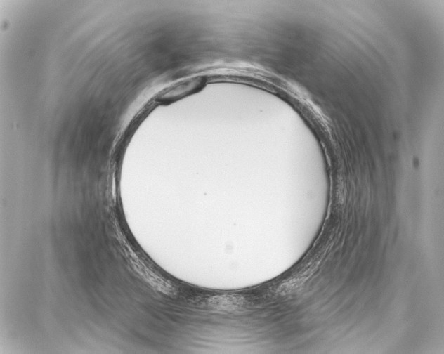 X0000086881368200705141400