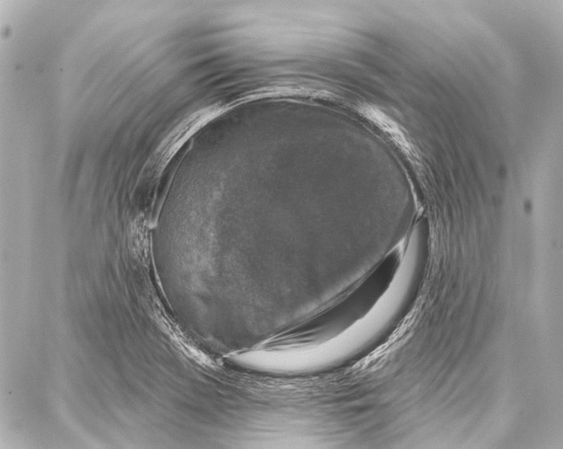 X0000086881369200705141400