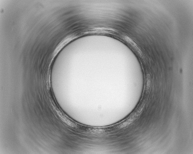 X0000086881370200705141400