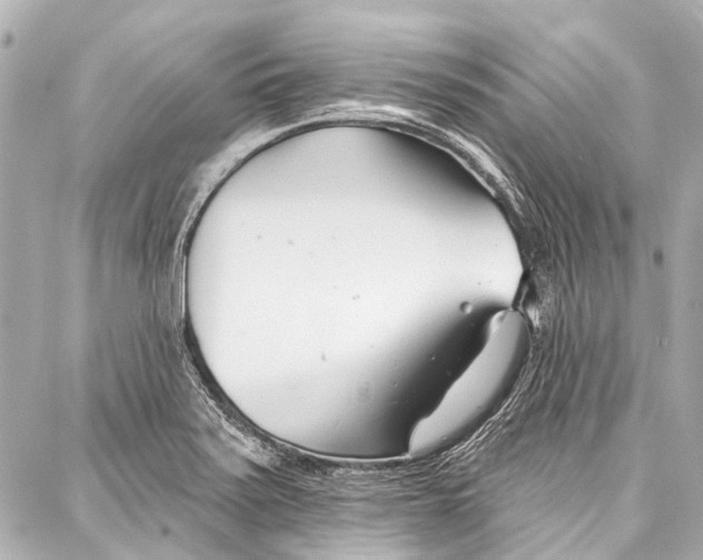 X0000086881371200705141359