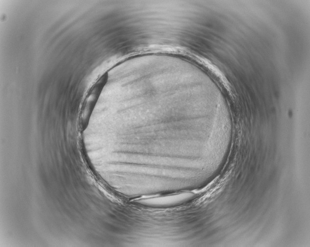 X0000086881373200705141359