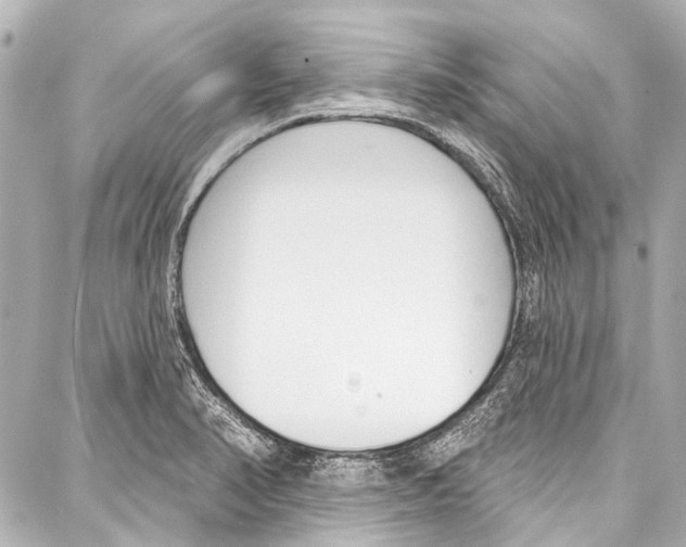 X0000086881374200705141359