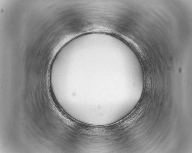 X0000086881375200705141359