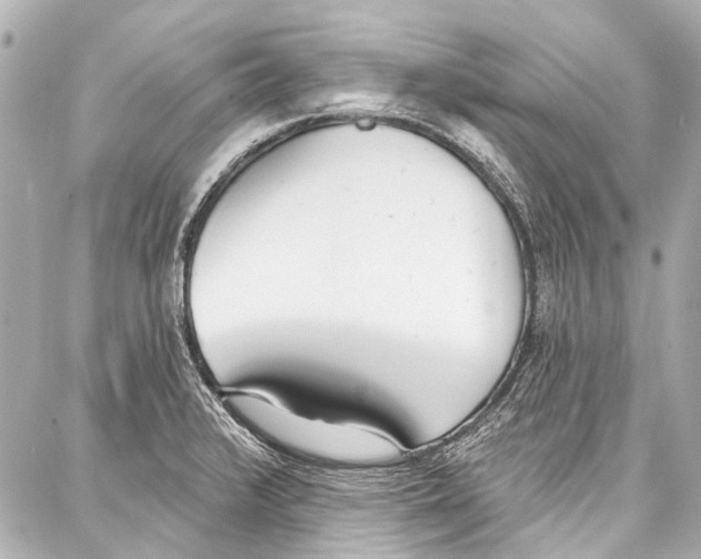 X0000086881376200705141359