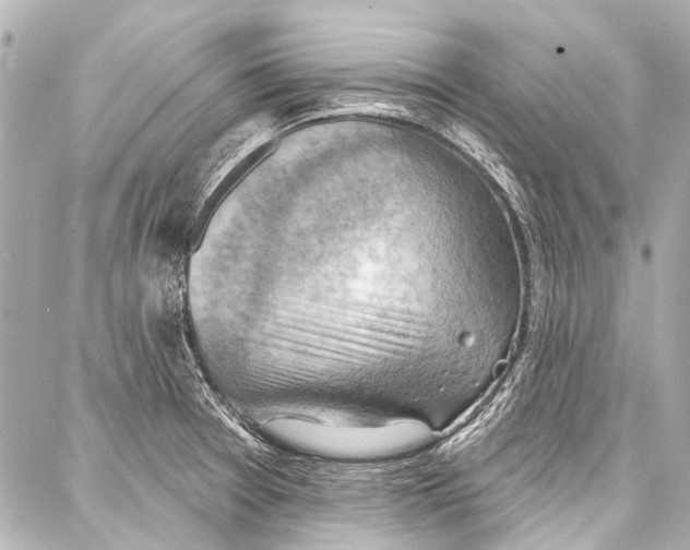 X0000086881377200705141359