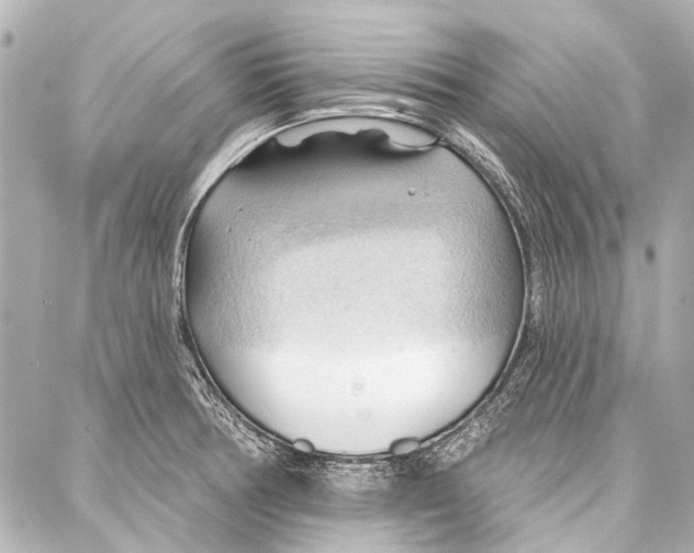 X0000086881378200705141359