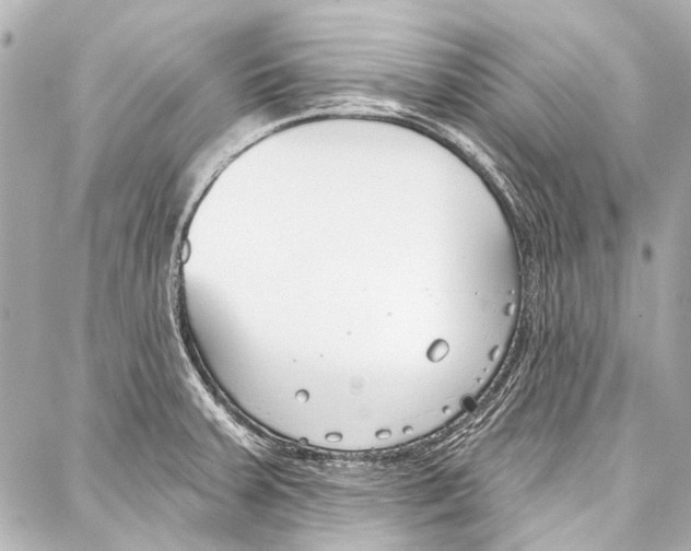 X0000086881379200705141359