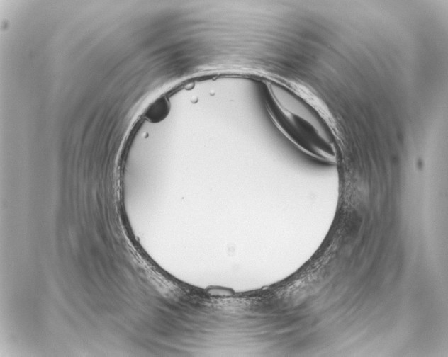 X0000086881380200705141359