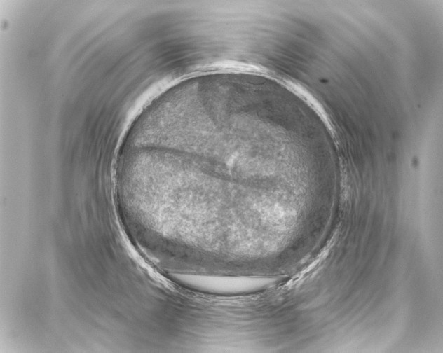 X0000086881381200705141359