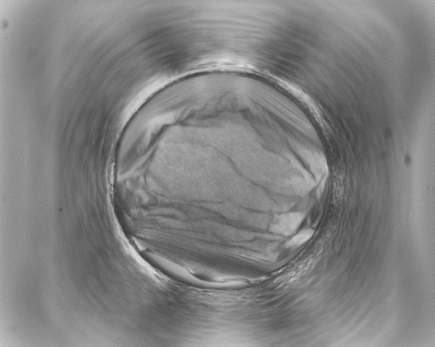 X0000086881383200705141359