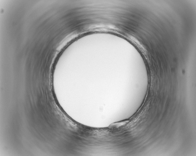 X0000086881384200705141359