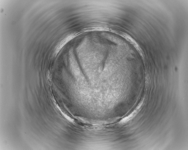 X0000086881385200705141359