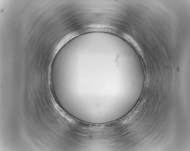 X0000086881386200705141359