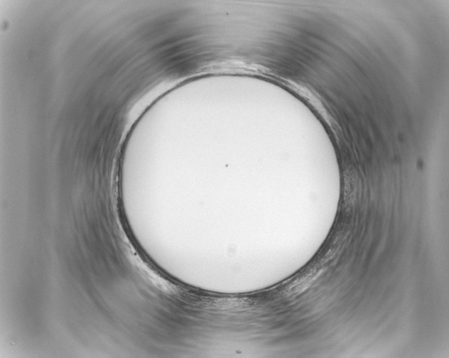 X0000086881387200705141359