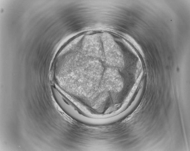 X0000086881388200705141359