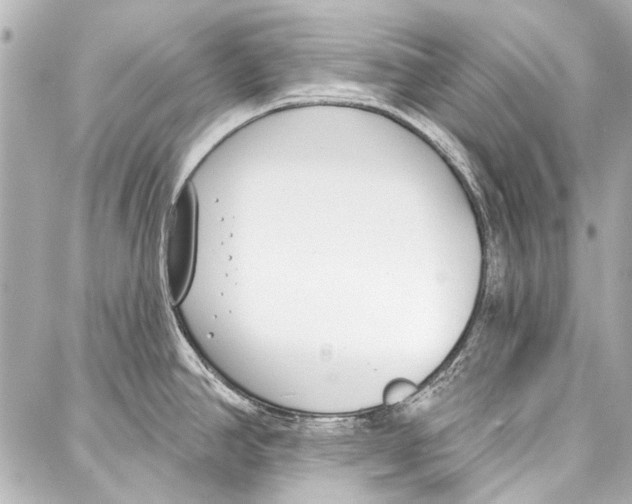 X0000086881390200705141359