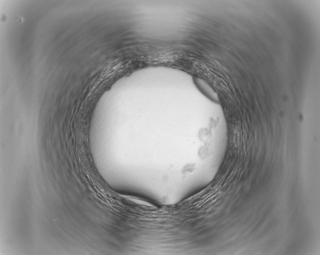 X0000086881393200705141358