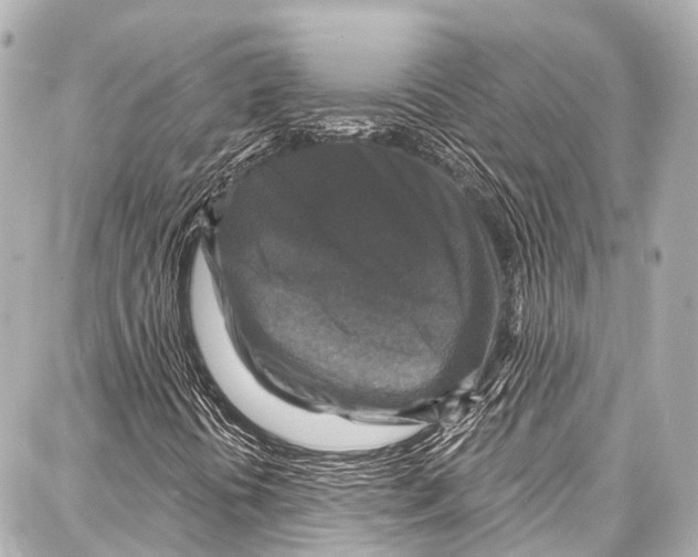 X0000086881394200705141358