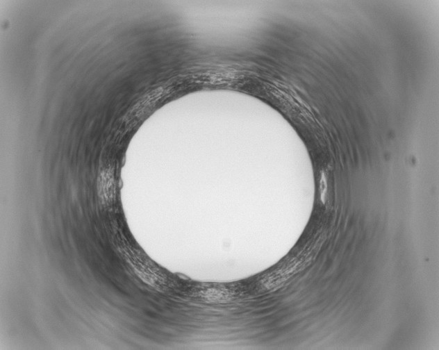 X0000086881395200705141358