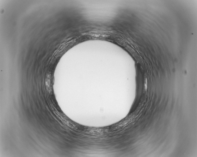 X0000086881396200705141358