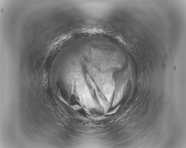 X0000086881398200705141358