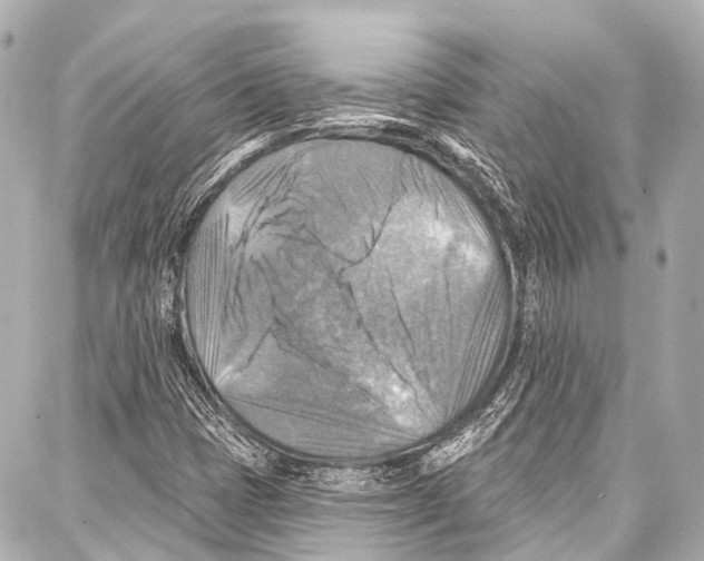 X0000086881401200705141358