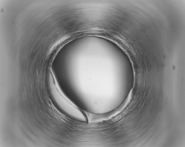 X0000086881402200705141359