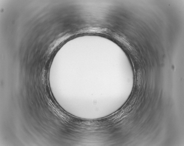 X0000086881404200705141359