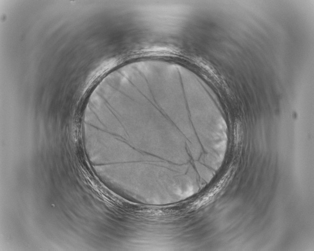 X0000086881405200705141359