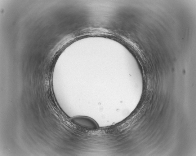 X0000086881407200705141359